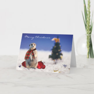 Jo Jo Hello wishes you a Merry Christmas Holiday Card
