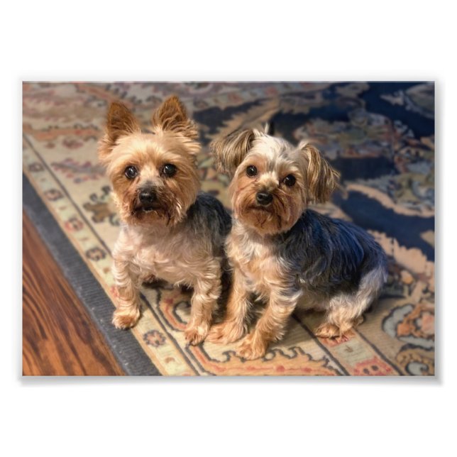 JoAn Nicolas Rosie Photo Print (Front)