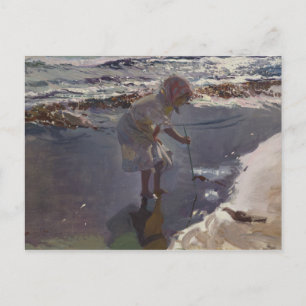 Joaquin Sorolla - Seeking Seafood Postcard