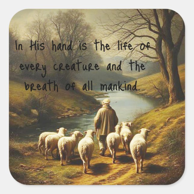 Job 12:10 Scripture Life of Every Creature Square Sticker (Front)