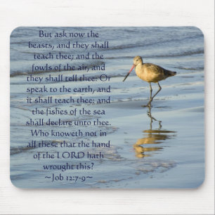 Job 12:7-9 Sandpiper Mouse Pad