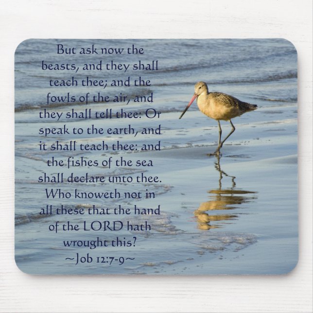 Job 12:7-9 Sandpiper Mouse Pad (Front)