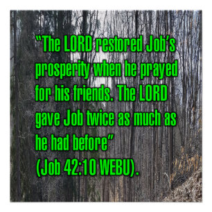 Job 42:10 WEBU Poster