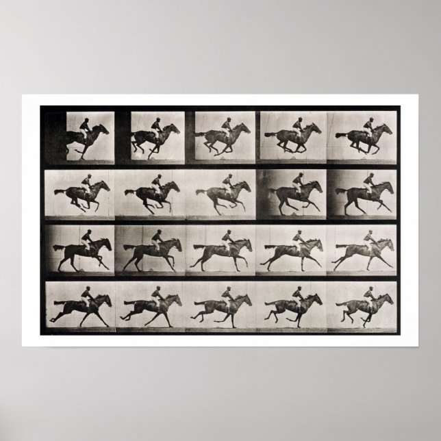 Jockey on a galloping horse, plate 627 from 'Anima Poster (Front)