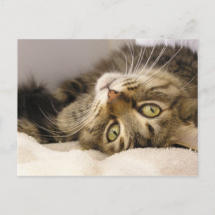 Jody Postcard