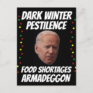 JOE BIDEN DARK WINTER CHRISTMAS POSTCARDS