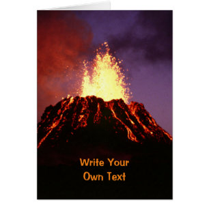 Joe Biden & Kamala Harris - Write Your Own Text