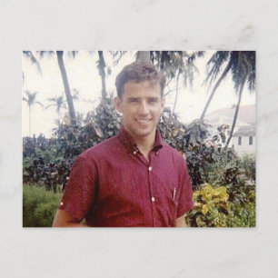 Joe Biden young hot stylised Postcard