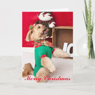 Joey Anxious for Christmas (2015) Holiday Card