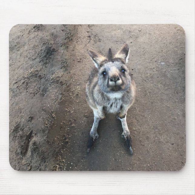 Joey Kangaroo Mouse Pad (Front)