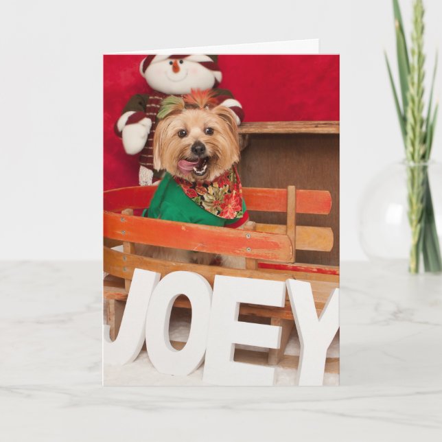 Joey Preparing to Help Santa Holiday Card (Front)