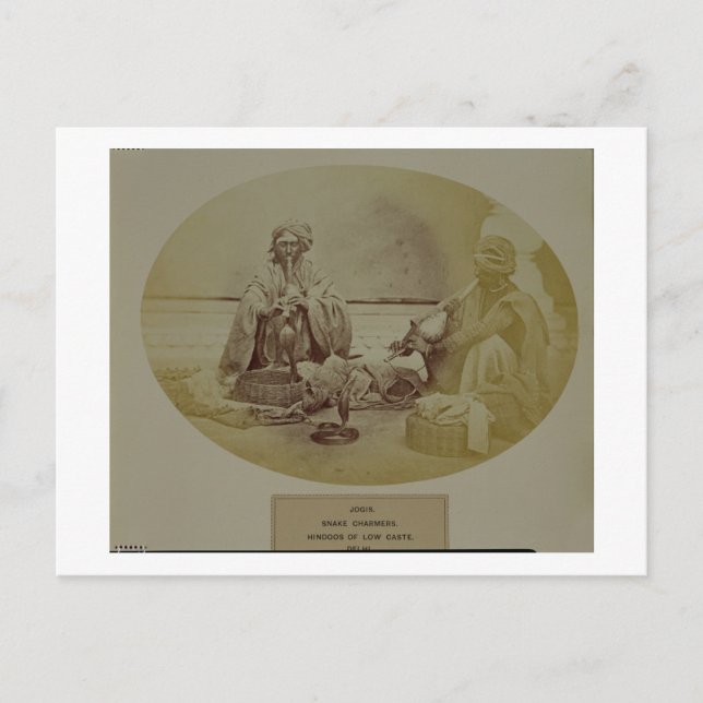 Jogis or Snake Charmers, Low Caste Hindus from Del Postcard (Front)