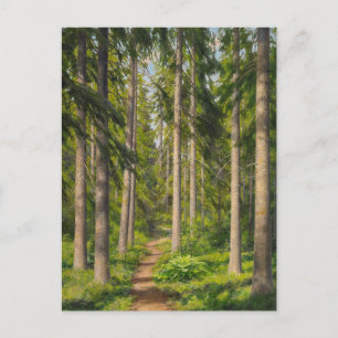 Johan Krouthén Solbelyst skogsstig CC0461 Postcard