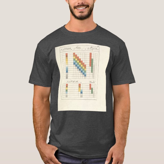 Johann Wolfgang von Goethe colour theory 1 T-Shirt (Front)