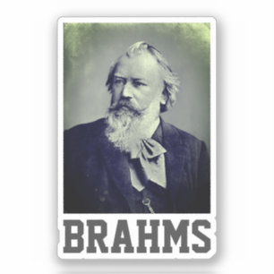 Johannes Brahms (1889)