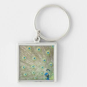 Johannesburg Zoo, Gauteng Province, South Africa Key Ring