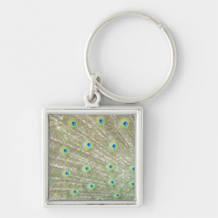 Johannesburg Zoo, Gauteng Province, South Africa Key Ring