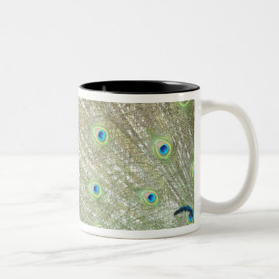 Johannesburg Zoo, Gauteng Province, South Africa Two-Tone Coffee Mug