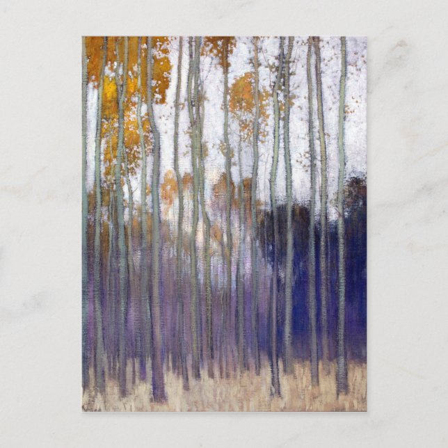 Johans Valters Forest (Morning Sun) Postcard (Front)