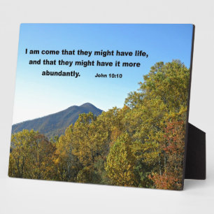 John 10:10 I am come that they might have life... Plaque