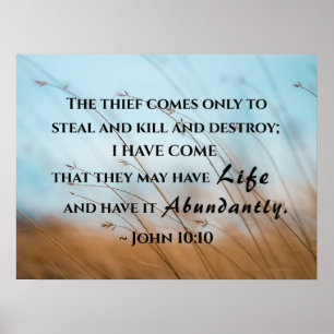 John 10:10 I have come that they may have life  Poster