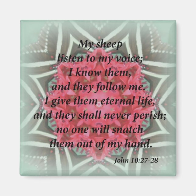 John 10:27-28 magnet (Front)