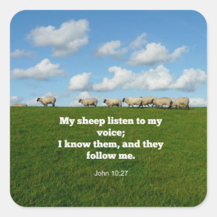 John 10:27, scripture verse square sticker