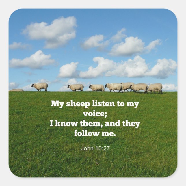John 10:27, scripture verse square sticker (Front)