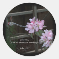 John 11:25 ~ Resurrection and the Life