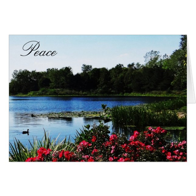 John 14:27 Peace Card (Front Horizontal)