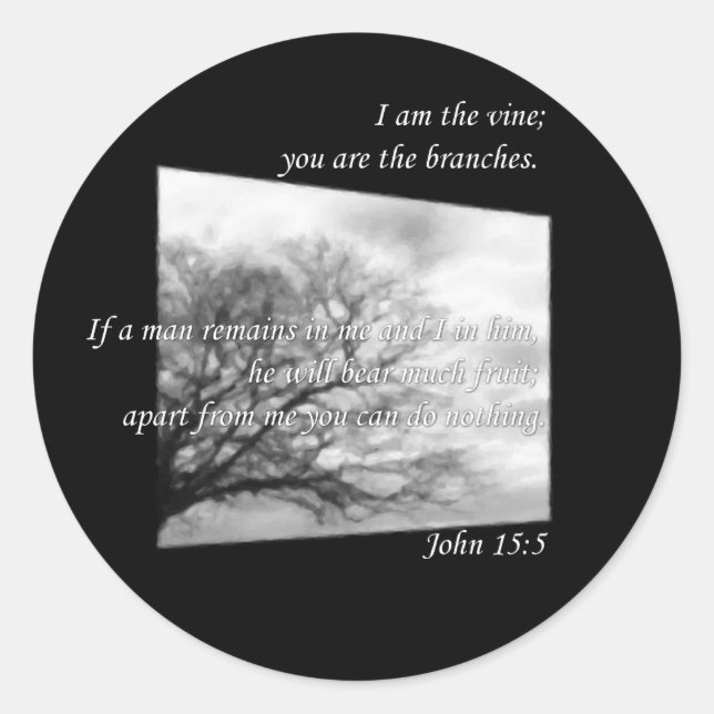 John 15:5 ~ Vine and Branches Classic Round Sticker (Front)