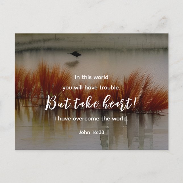 John 16:33 I have Overcome Bible Verse Christian  Postcard (Front)