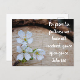 John 1:16 Wild Cherry Flowers Postcard