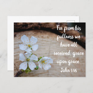 John 1:16 Wild Cherry Flowers Postcard