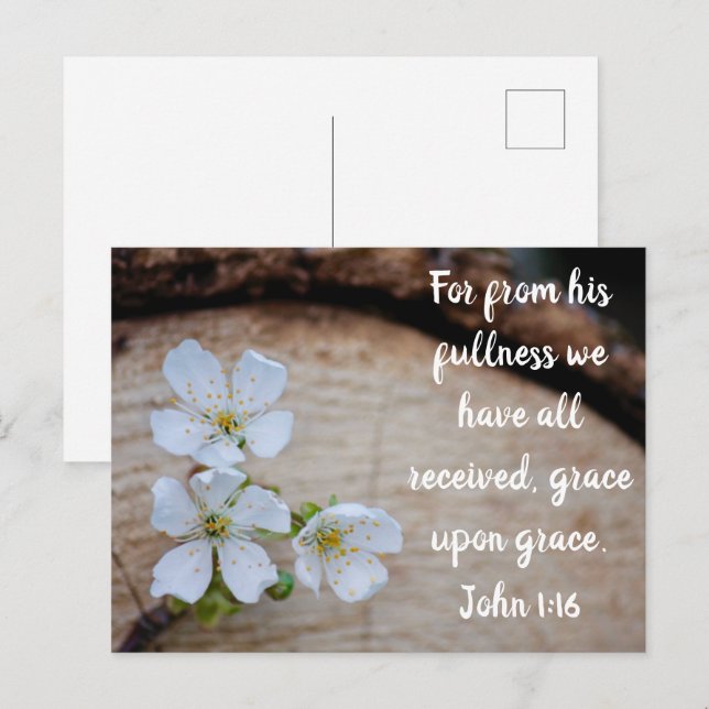John 1:16 Wild Cherry Flowers Postcard (Front/Back)