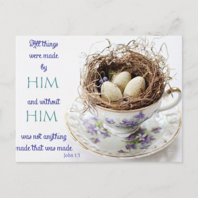 John 1:3 Scripture Bird Nest Postcard (Front)