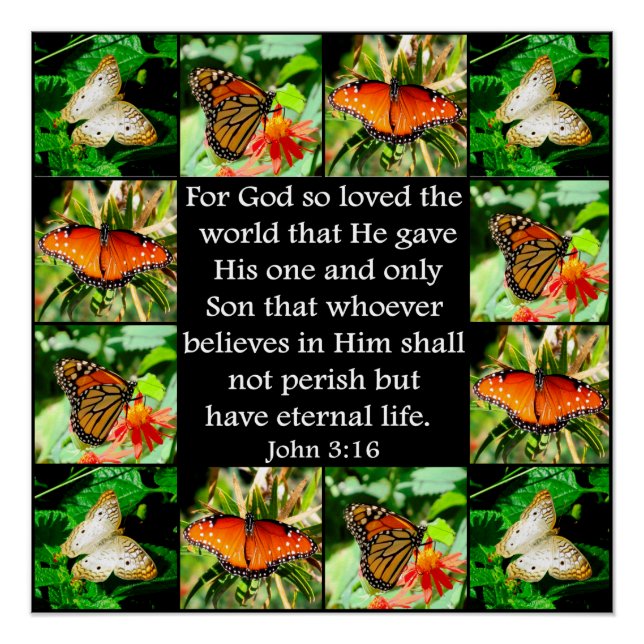 JOHN 3:16 BUTTERFLY DESIGN POSTER (Front)