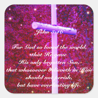 John 3:16 Christian Cross Firefly Sticker