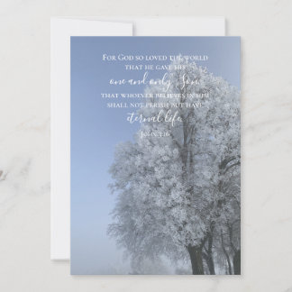 John 3:16 Custom Text | Snow Nature Original Photo Holiday Card