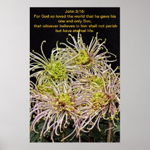 John 3:16 For God so loved the world Poster