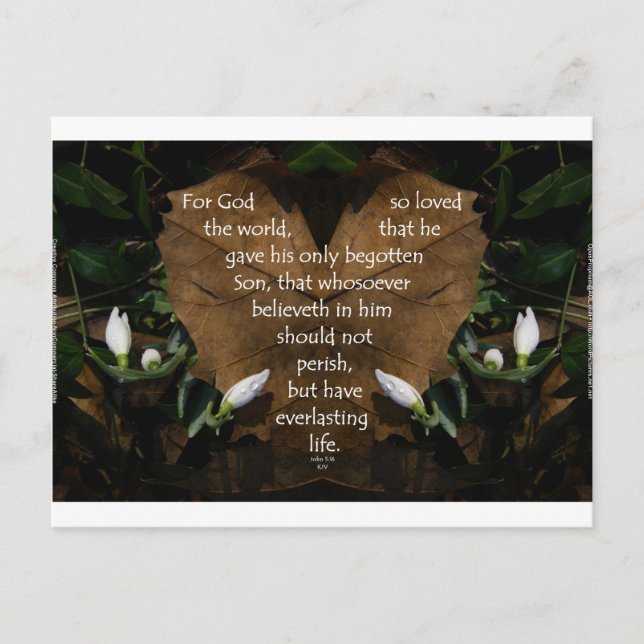 john 3:16 king james on heart leaf postcard (Front)