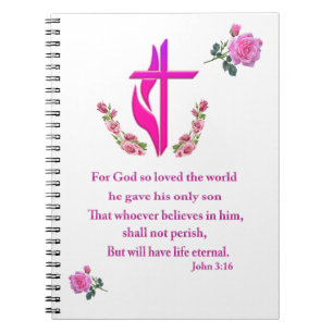 John 3:16    notebook