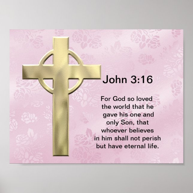John 3:16 (pink) poster (Front)