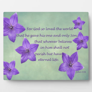 John 3:16 plaque