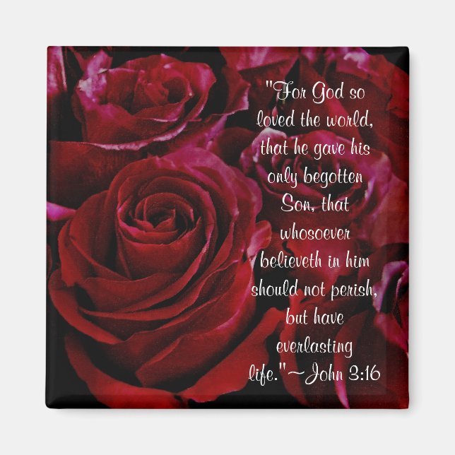 John 3:16 red roses magnet (Front)