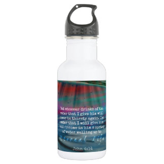 John 4:14 Water and Sky 532 Ml Water Bottle