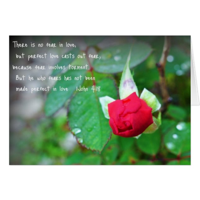 John 4:18 (Front Horizontal)