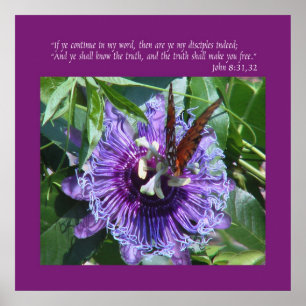 John 8 31:32 Print/Poster Poster