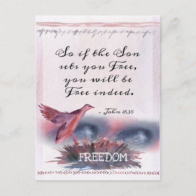 John 8:36 If the Son sets you Free, Scripture Postcard (Front)
