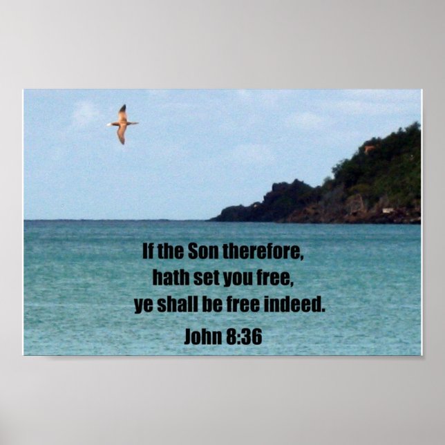 John 8:36 poster (Front)